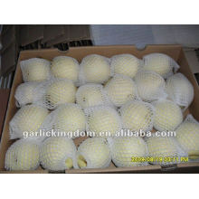 Chinese Ya Pear(36-40-44 in 9kg ctn)